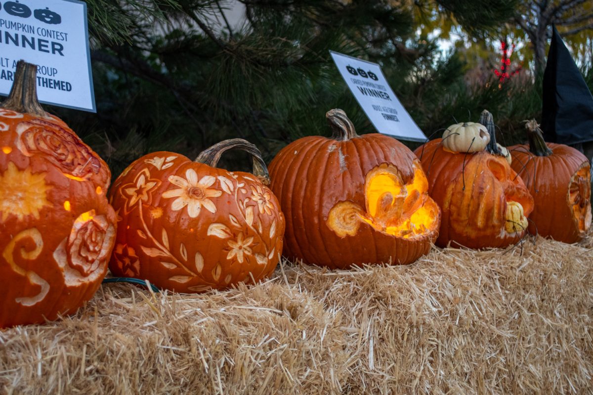 Pumpkins are placed on display for the carved pumpkin contest during Pumpkins on Parade at the Gardens on Spring Creek Oct. 26