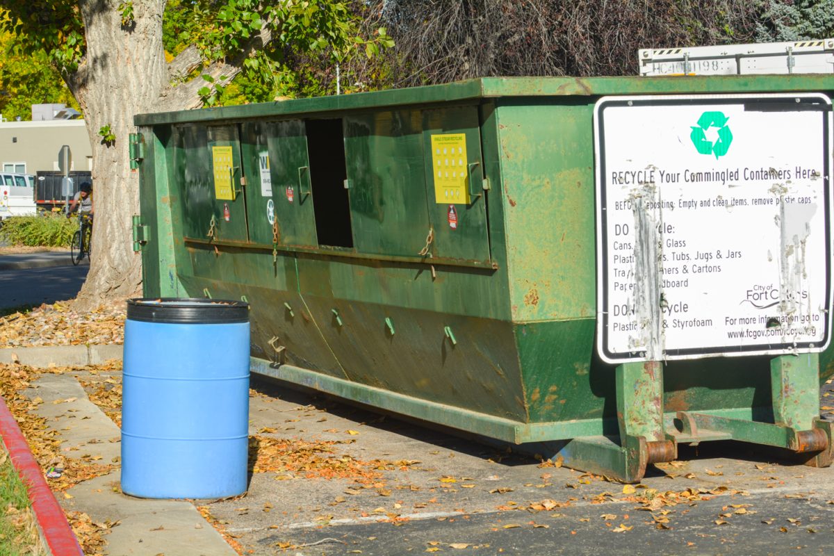 A green recycling container with a blue bin beside it.