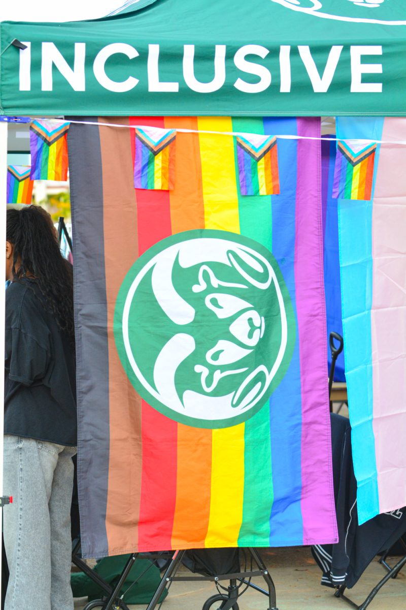 A colored flag with the CSU logo on it.