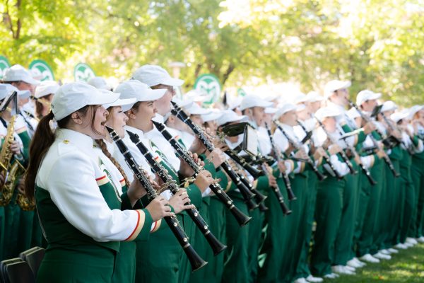 A marching band plays instruments in a row.