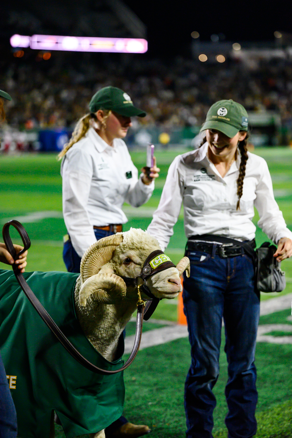 Gallery: CSU football launches their comeback against Fresno State