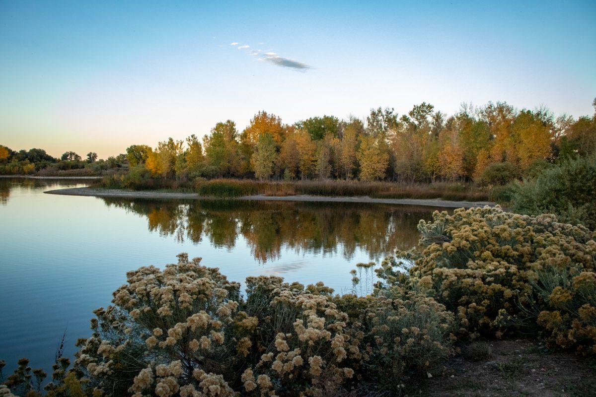 Photo of a lake surrounded by trees.