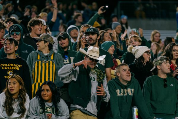 Fans cheer, celebrate, and dance in the stands.