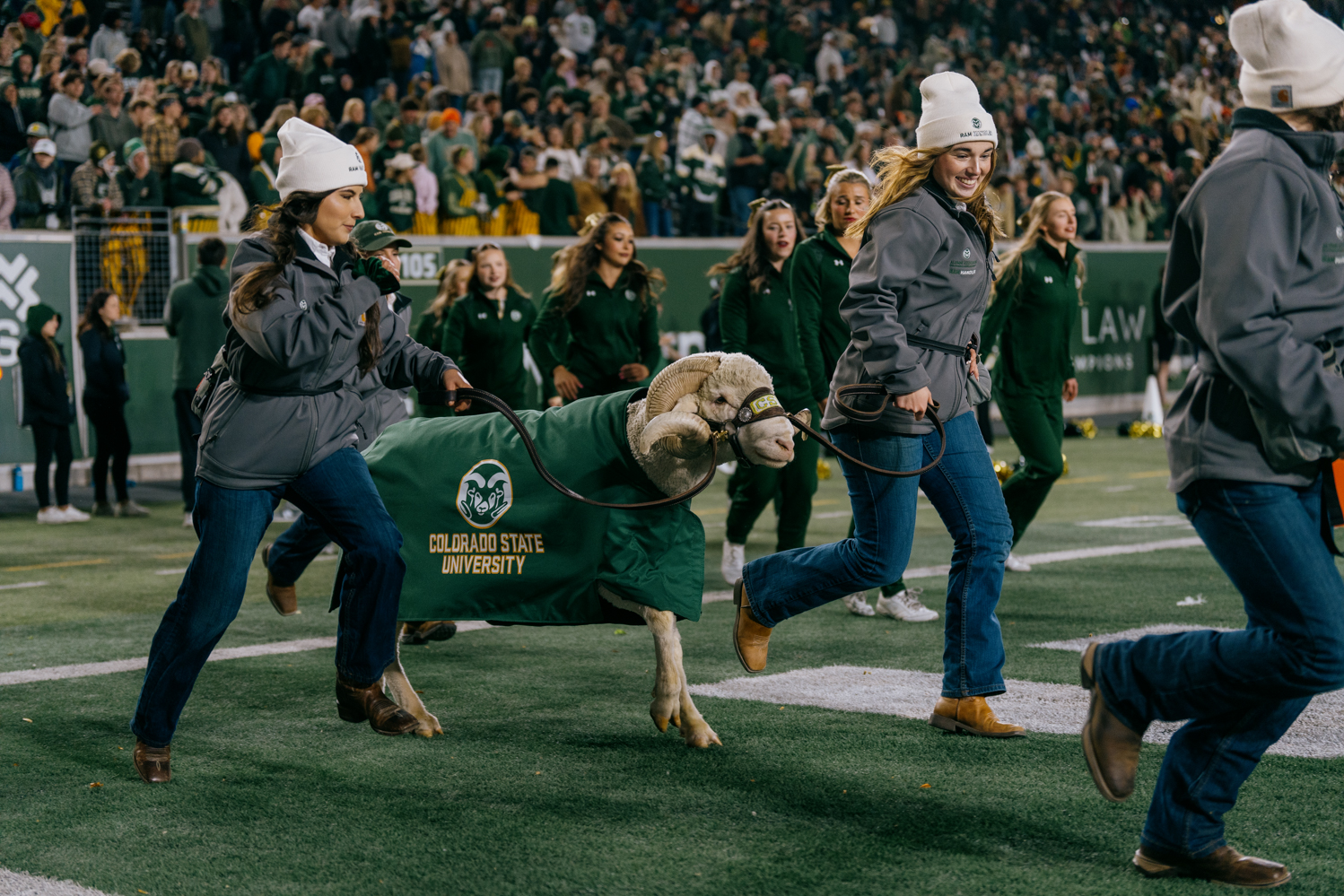 Gallery: CSU football ends Homecoming with loss against University of Hawaii