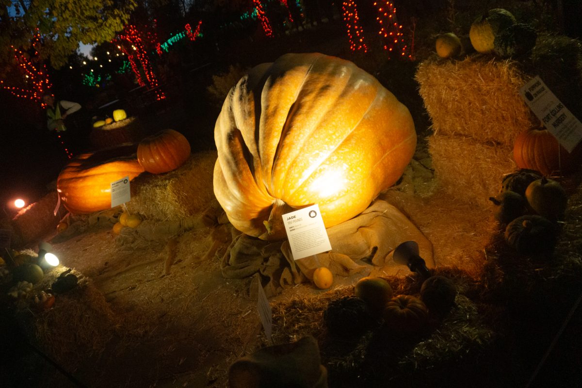 "Jade" an Atlantic Dill pumpkin weighing 1957 pounds sits on view at Pumpkins on Parade at the Gardens on Spring Creek Oct 24.