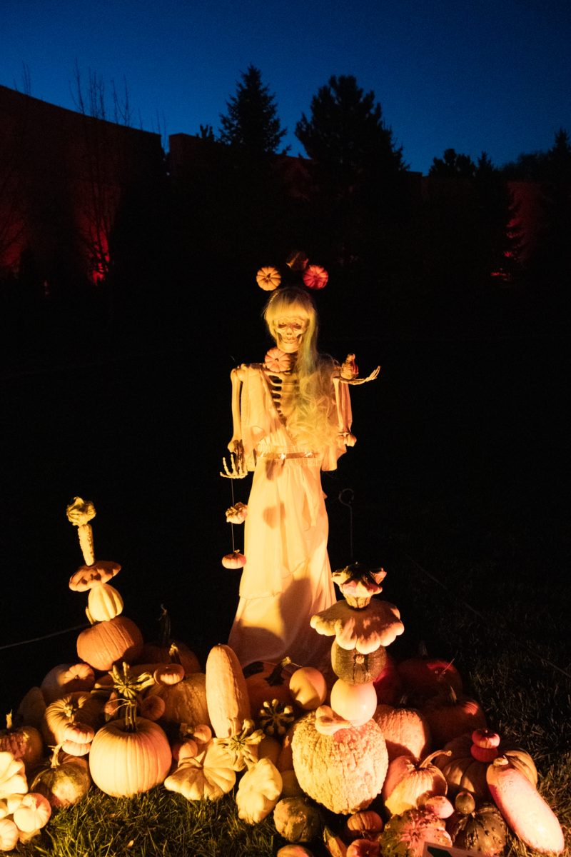 A display with a skeleton surrounded by mini pumpkins sits on display at Pumpkins on Parade at the Gardens on Spring Creek Oct 24.