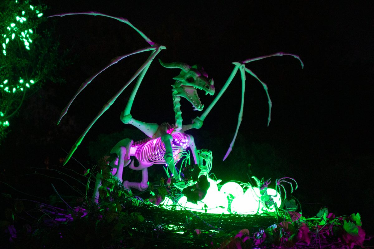 A skeleton dragon is on display at Pumpkins on Parade at the Gardens on Spring Creek Oct 24.
