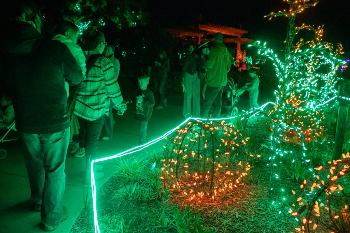 Visitors walk around the gardens lit by string lights at Pumpkins on Parade at the Gardens on Spring Creek Oct 24.