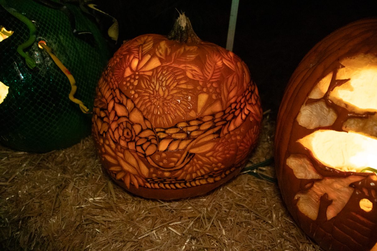 A carved pumpkin sits on display at Pumpkins on Parade at the Gardens on Spring Creek Oct 24.
