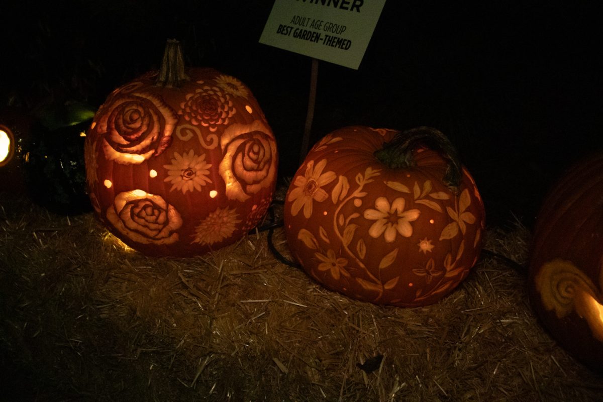 A carved pumpkin sits on display at Pumpkins on Parade at the Gardens on Spring Creek Oct 24.