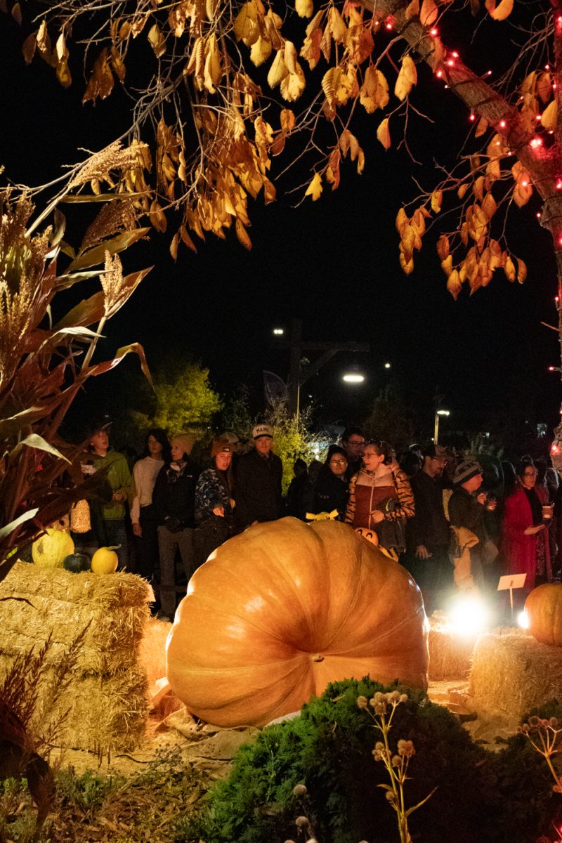 A group of people check out the giant pumpkins at Pumpkins on Parade at the Gardens on Spring Creek Oct 24.