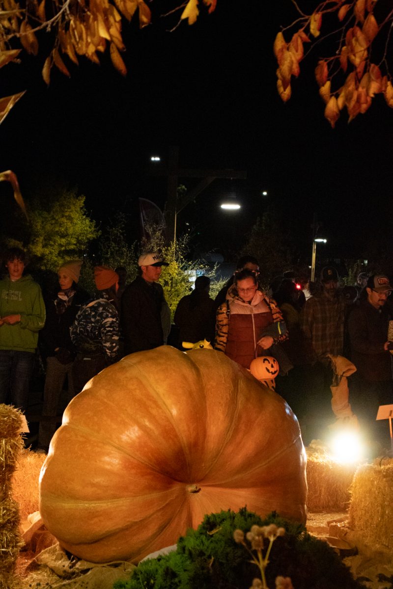 A group of people check out the giant pumpkins at Pumpkins on Parade at the Gardens on Spring Creek Oct 24.