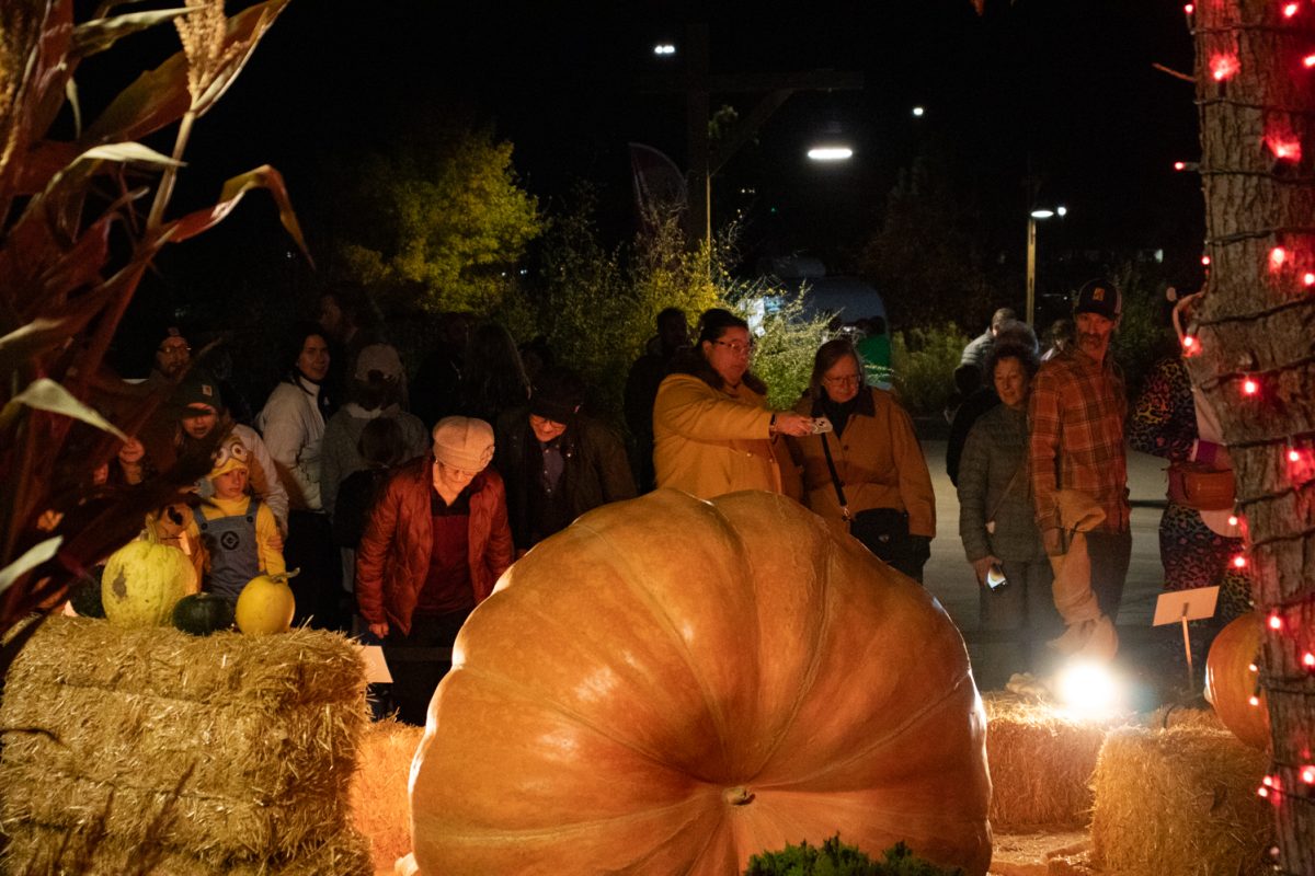 A group of people check out the giant pumpkins at Pumpkins on Parade at the Gardens on Spring Creek Oct 24.
