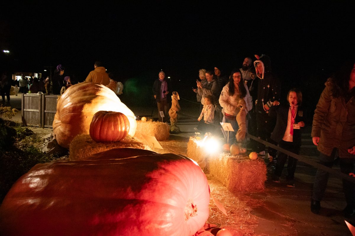 A group of people check out the giant pumpkins at Pumpkins on Parade at the Gardens on Spring Creek Oct 24.