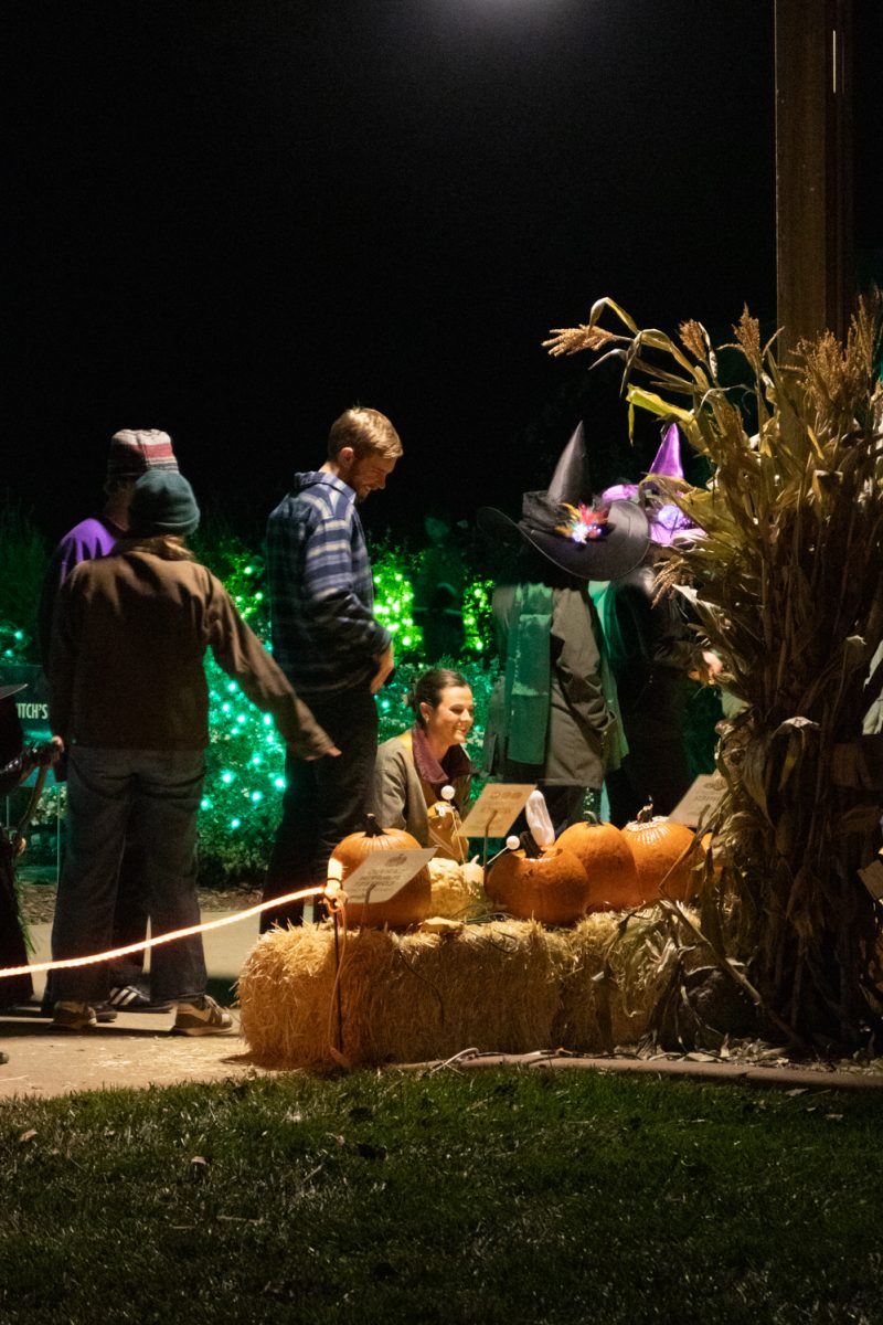 People check out the carved pumkins in the contest at at Pumpkins on Parade at the Gardens on Spring Creek Oct 24.