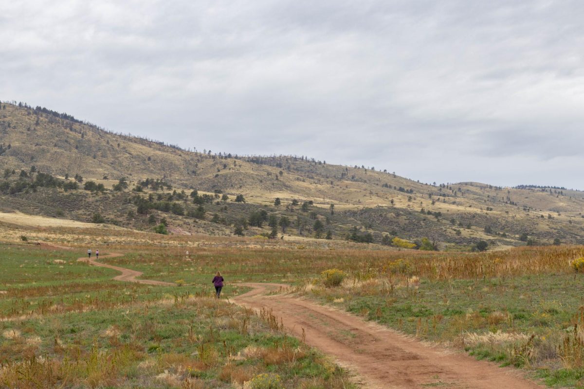 A long winding trail in the middle of a grass field with mountains in the background. There is a women in a purple sweatshirt in the middle of the trail.