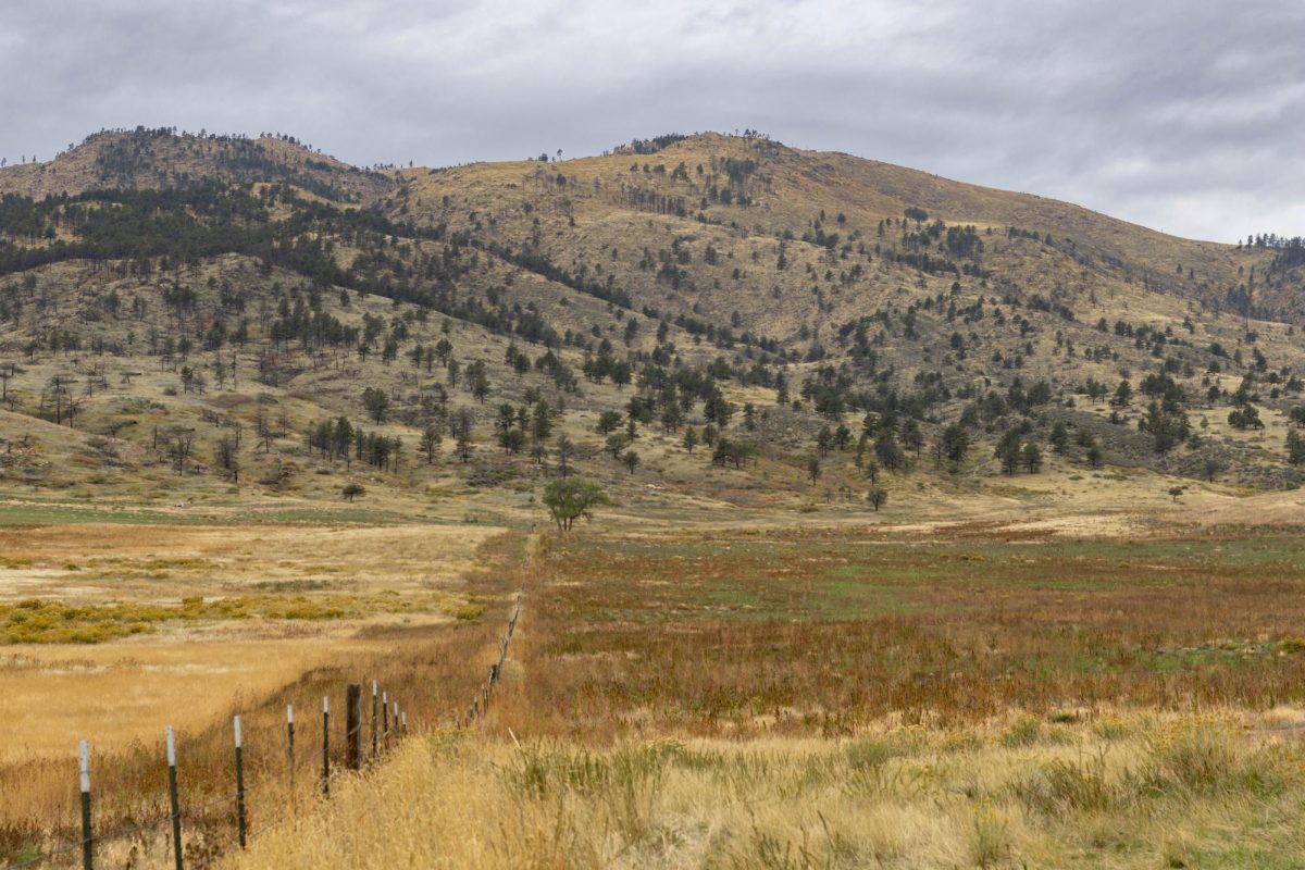 A large open grass field with mountains behind it. The mountains have trees covering it.