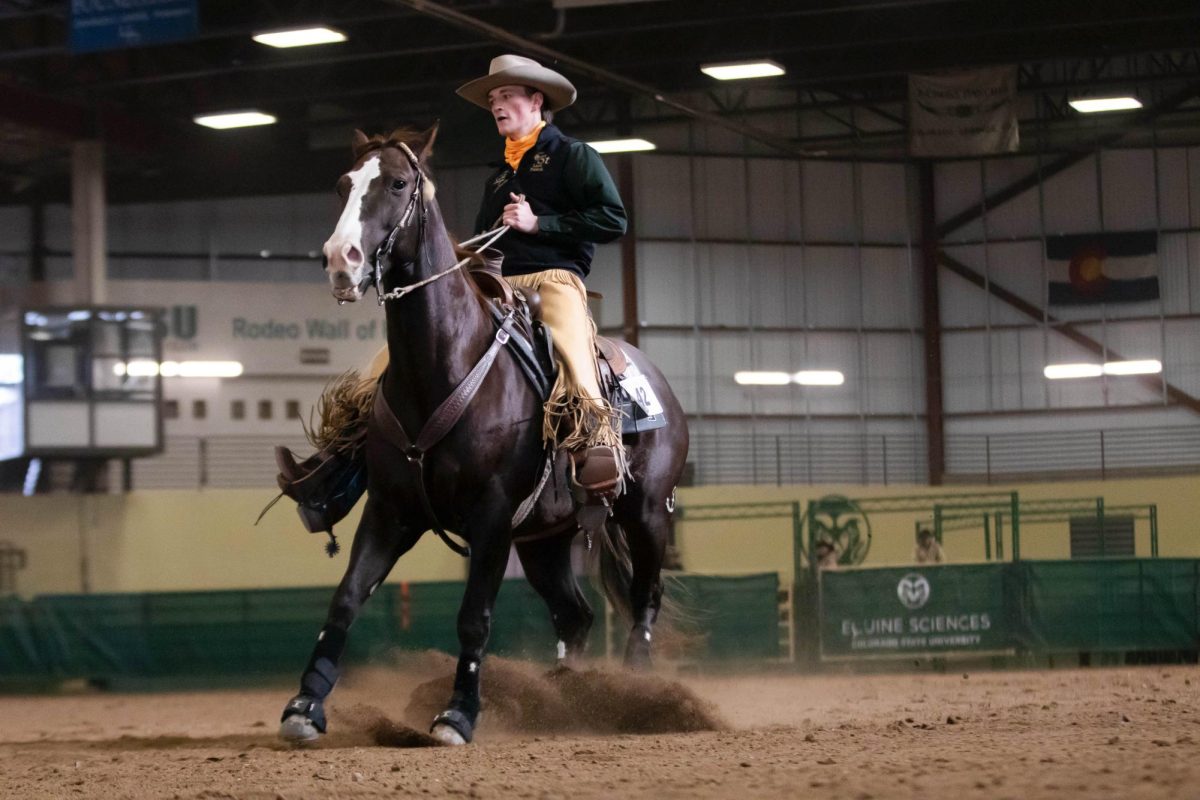 Laird Pidduck, member of Colorado State University's Ranch Horse Team, reigns in his horse at CSU's Silver Jubilee horse show in Fort Collins Oct. 19.