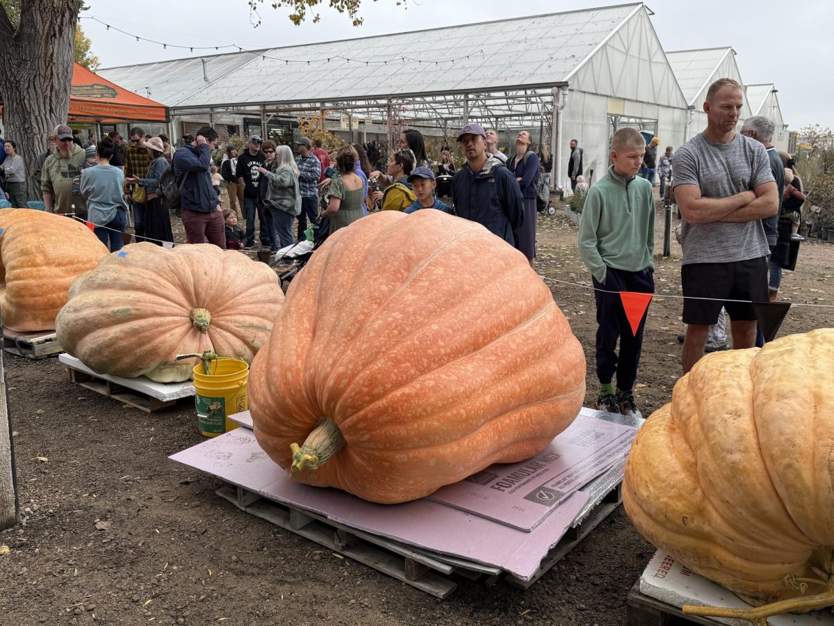 Courtesy of Dan Booth and the Fort Collins Nursery