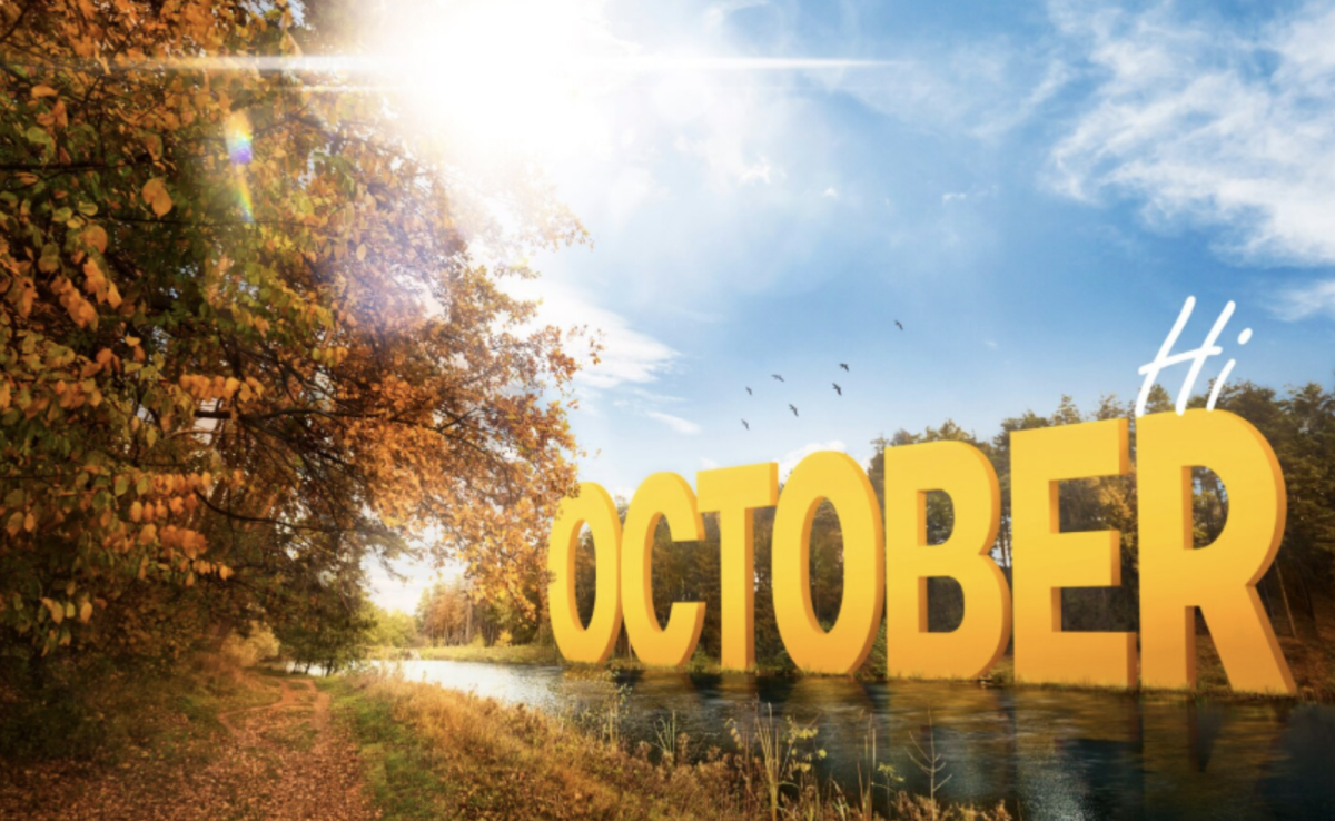 5 Great Fall Concert Events to Put on Your Calendar