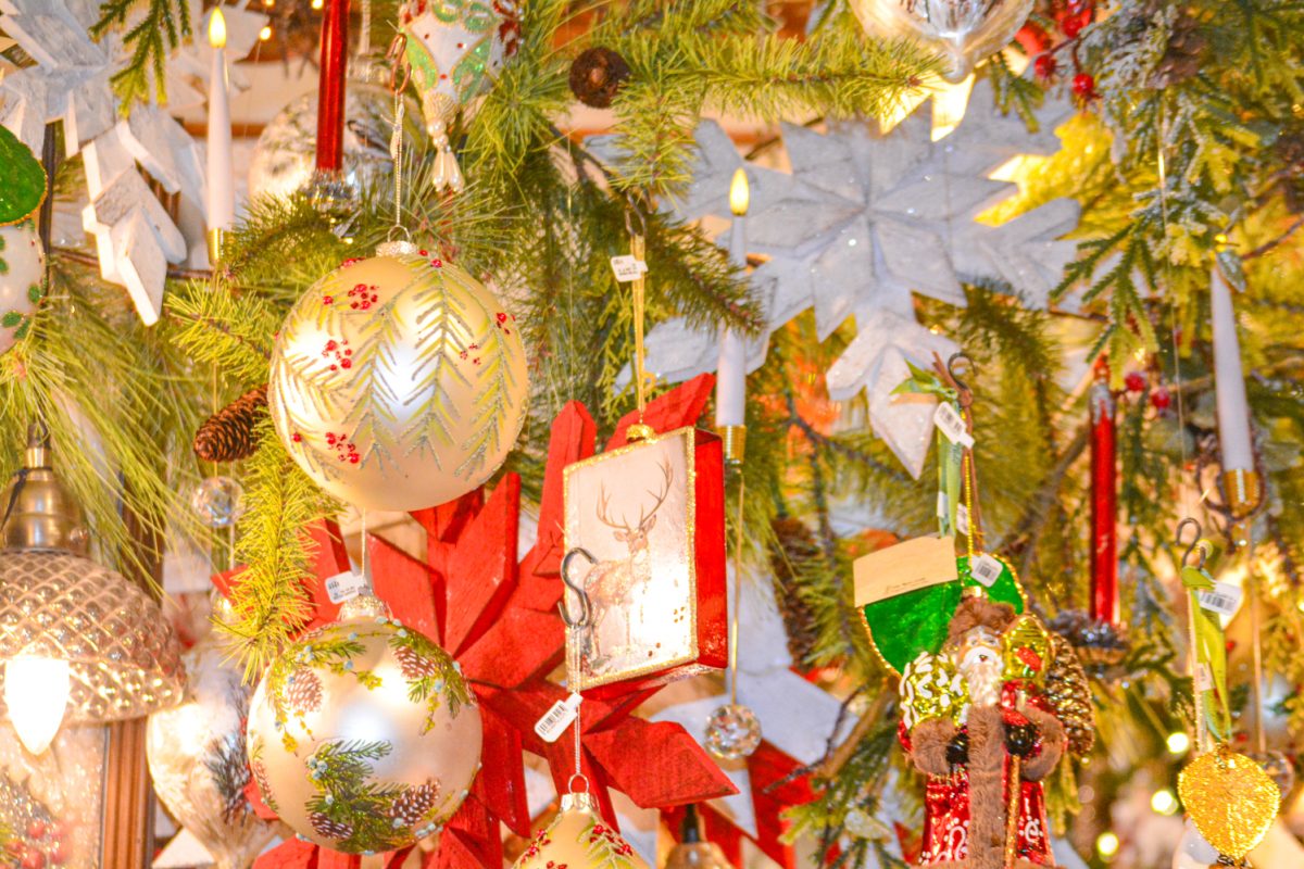 11_03_25_Focus_KOrtega_005