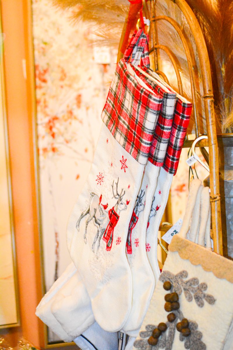 11_03_25_Focus_KOrtega_006