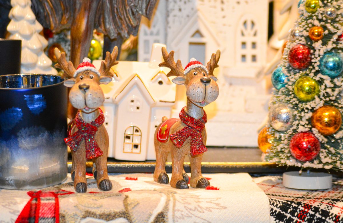 11_03_25_Focus_KOrtega_007