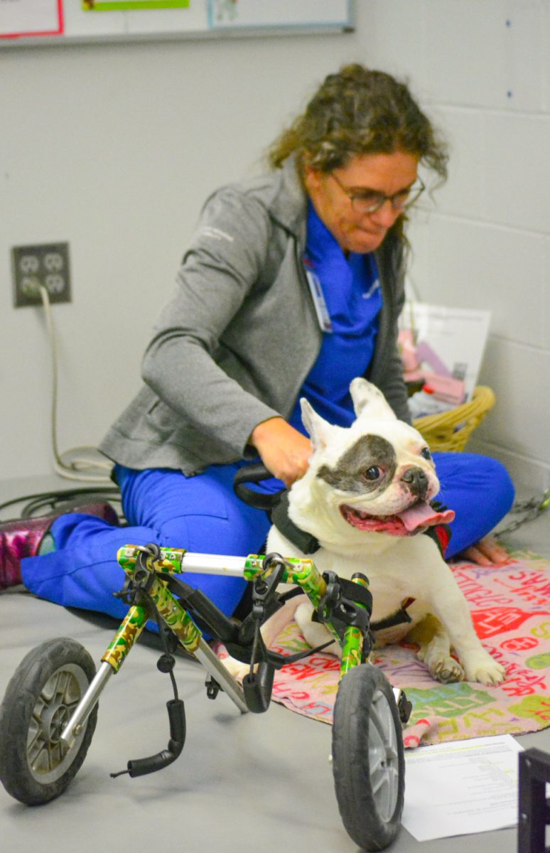 11_06_25_DogTherapy_KOrtega_014