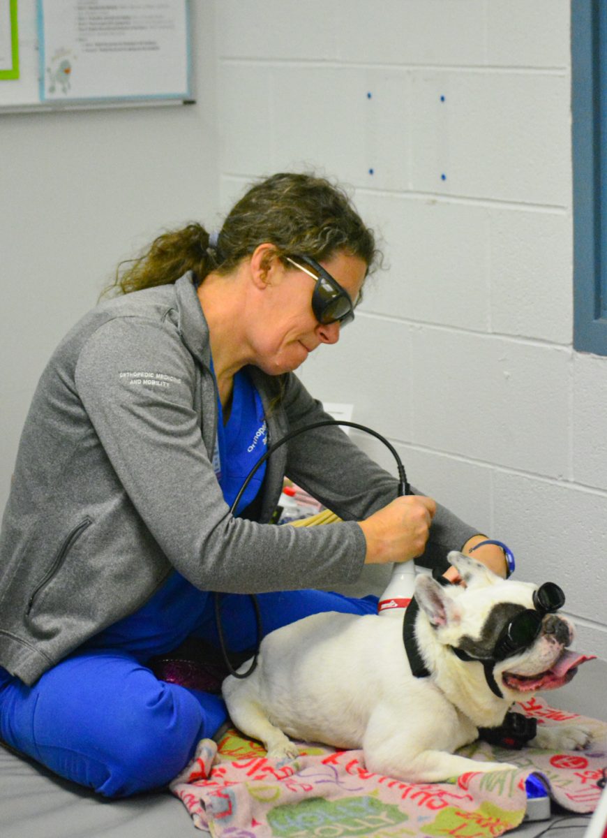 11_06_25_DogTherapy_KOrtega_017