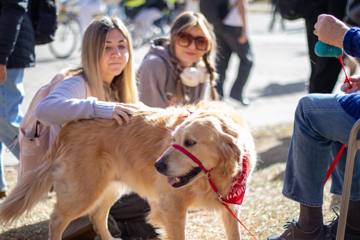 Students pet Willa, a de-stress dog with Human-Animal Bond in Colorado, during an event at the Colorado State University campus in Fort Collins, Colorado, Nov. 10