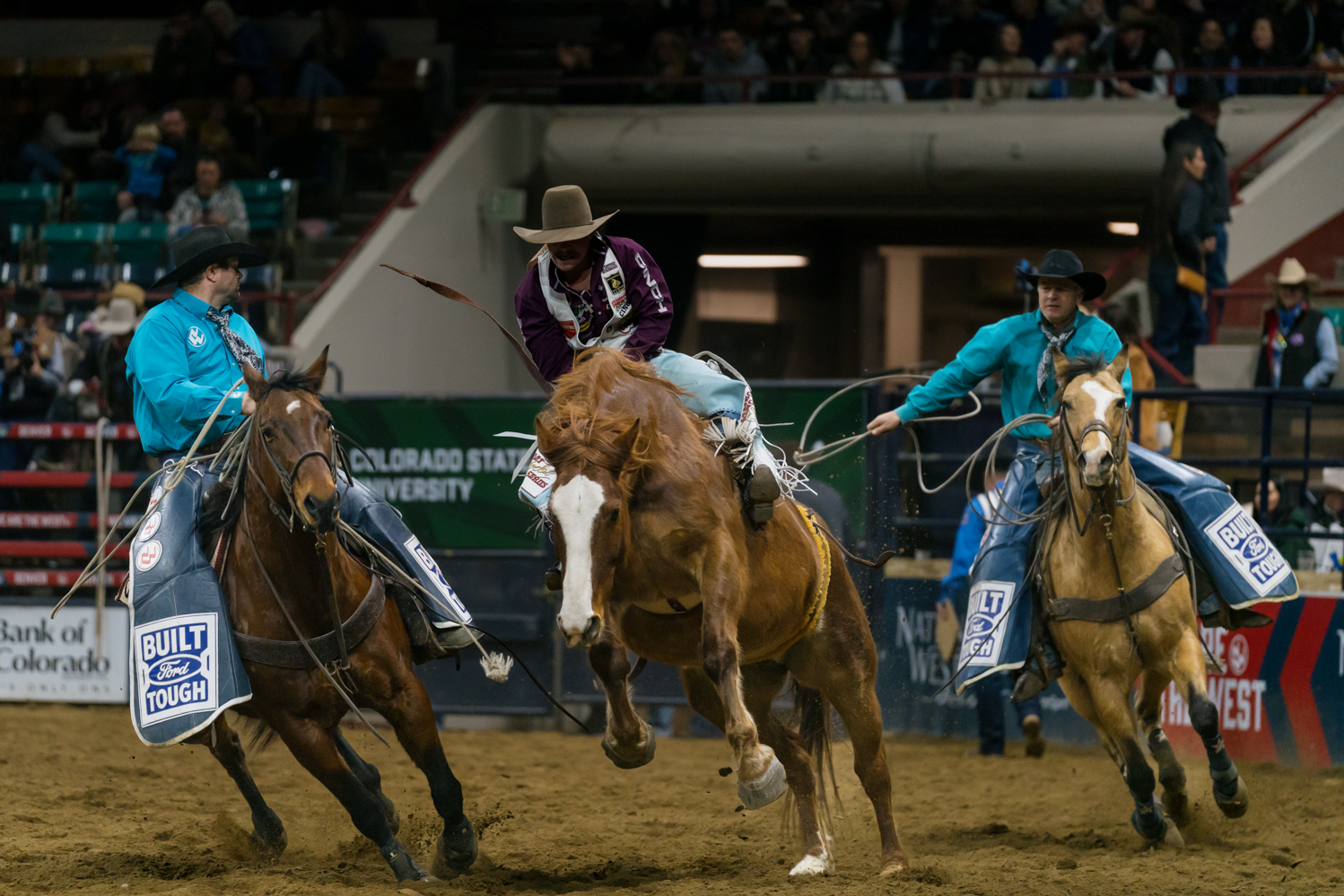 Gallery: NWSS Pro Rodeo starts 2026 off with 10-day tournament