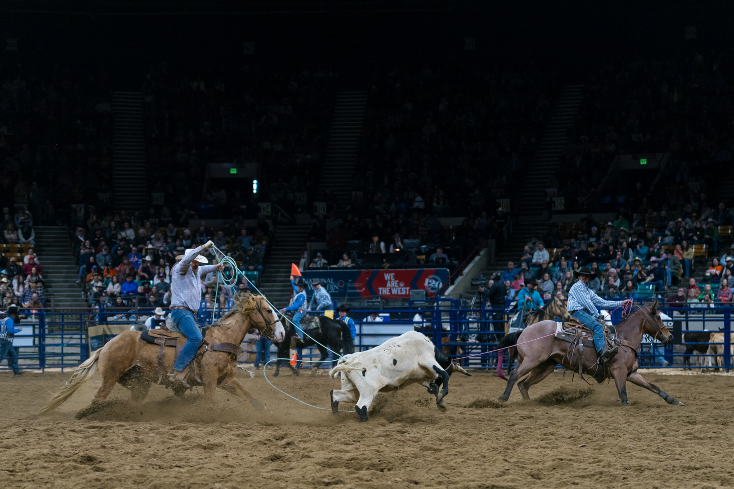 Gallery: NWSS Pro Rodeo starts 2026 off with 10-day tournament
