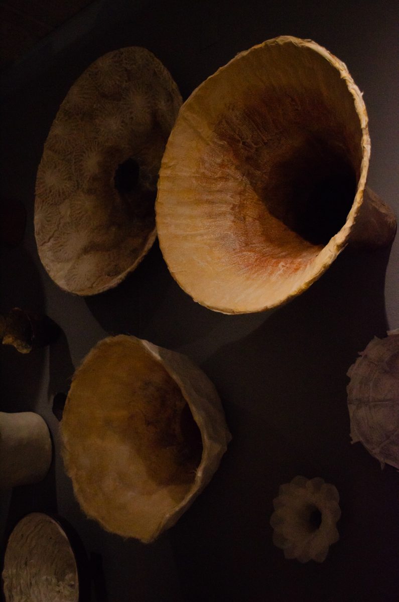 Funnels of various sizes poke out of the wall in Ashley Hope Carlisle’s Yearning to Be Heard- Listening Hollows as a part of Installation Nation at the Museum of Art Fort Collins Jan. 24