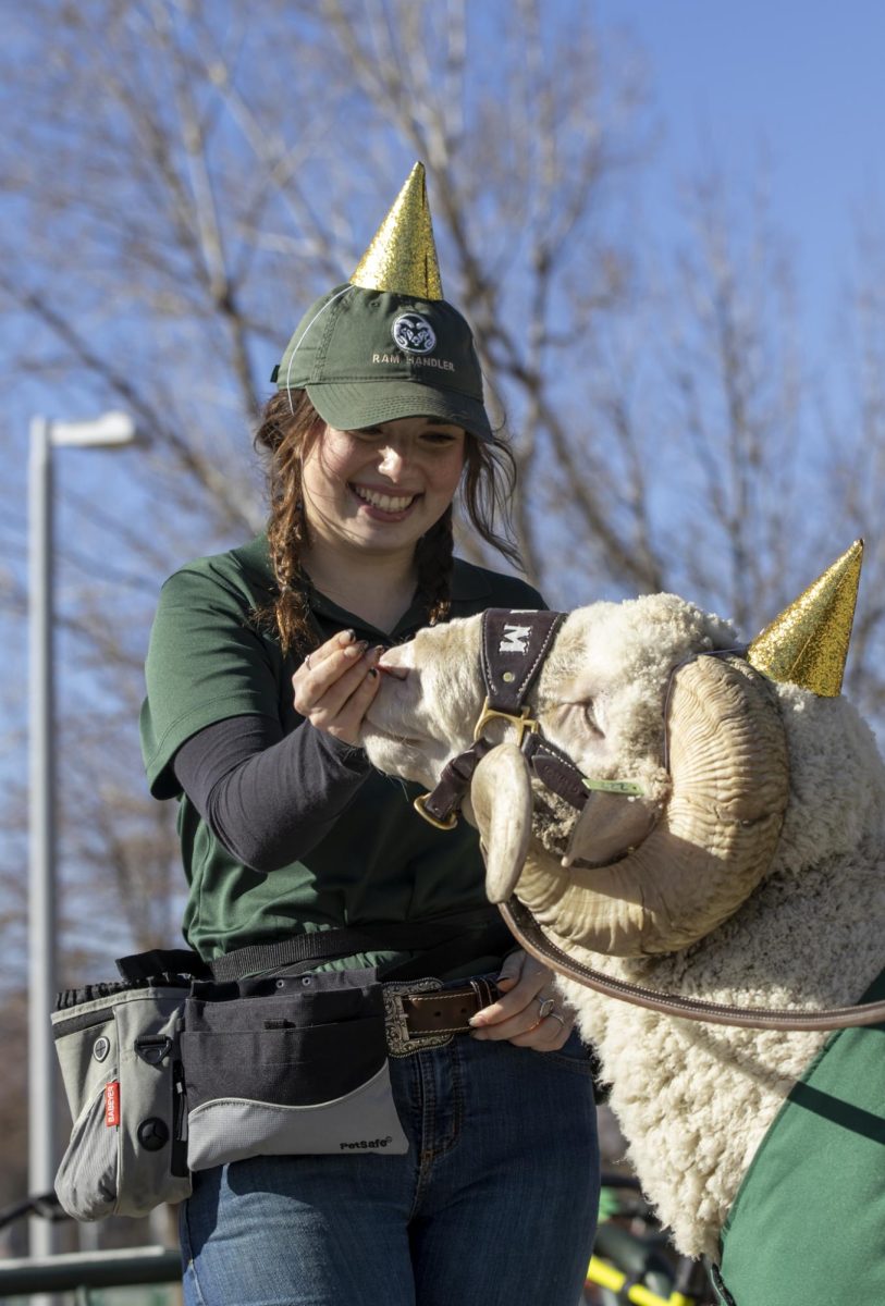 CAM the Ram and fellow handlers celebrate his 72nd birthday at the Colorado State University Student Recreation Center. The event was organized by the CSU Alumni Association, Feb. 7.