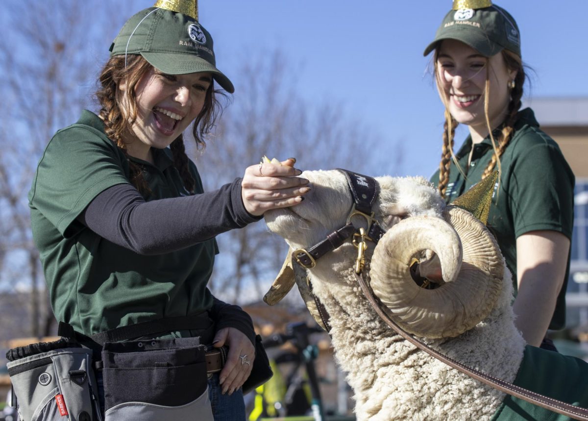 CAM the Ram and fellow handlers celebrate his 72nd birthday at the Colorado State University Student Recreation Center. The event was organized by the CSU Alumni Association, Feb. 7.