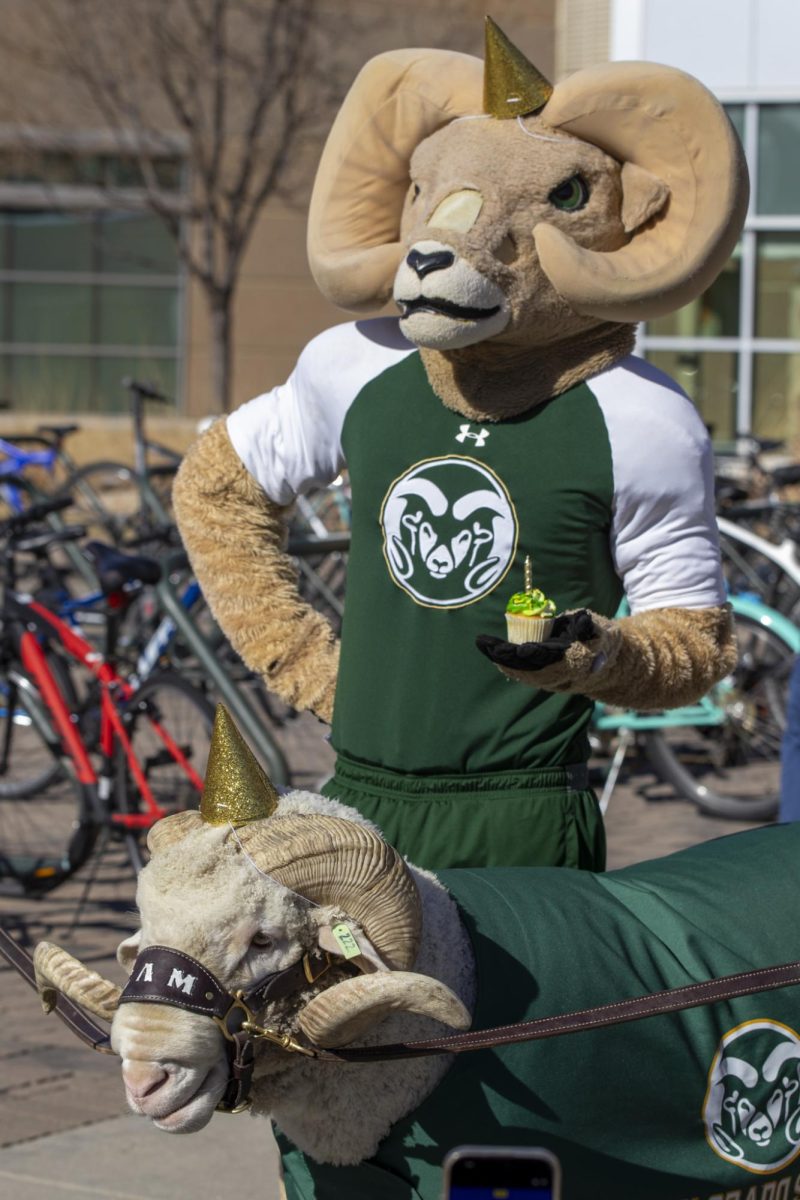 CAM the Ram celebrates his 72nd birthday at the Colorado State University Student Recreation Center. The event was organized by the CSU Alumni Association, Feb. 7.