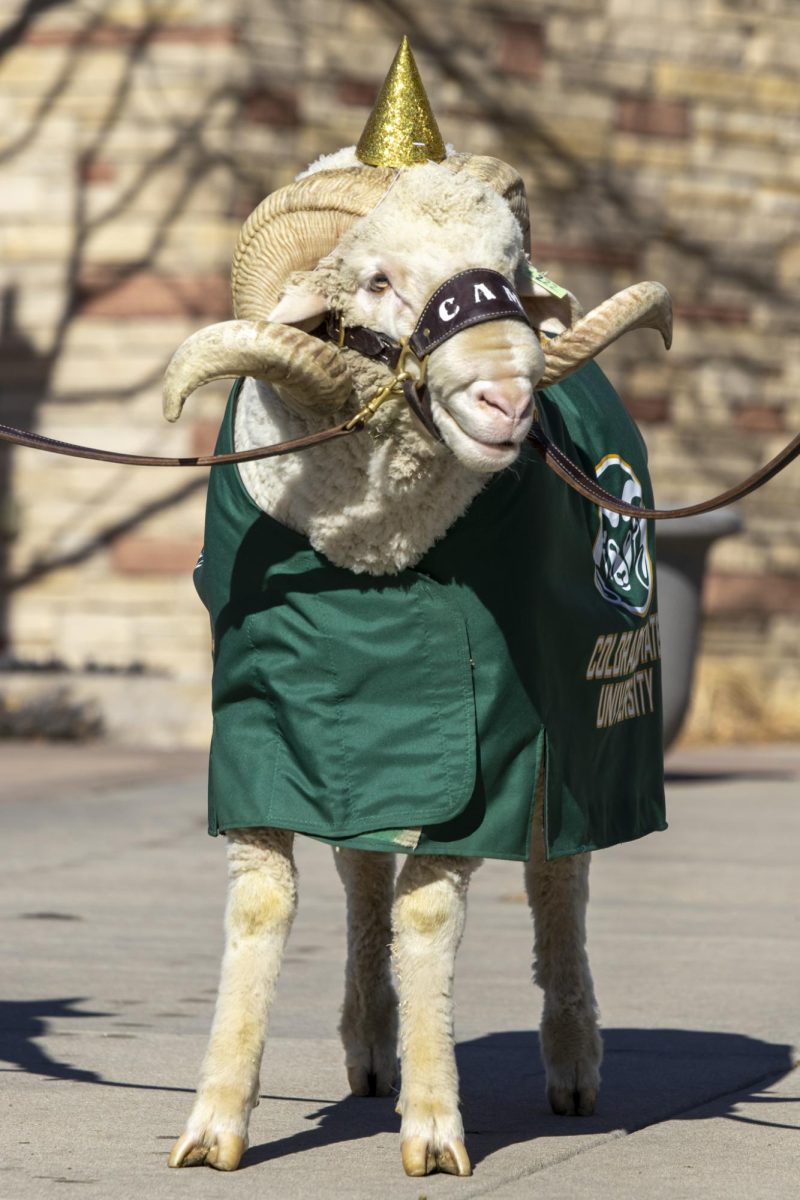 CAM the Ram celebrates his 72nd birthday at the Colorado State University Student Recreation Center. The event was organized by the CSU Alumni Association, Feb. 7.