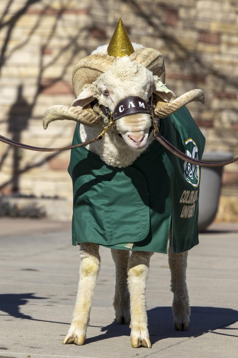 CAM the Ram celebrates his 72nd birthday at the Colorado State University Student Recreation Center. The event was organized by the CSU Alumni Association Feb. 7.