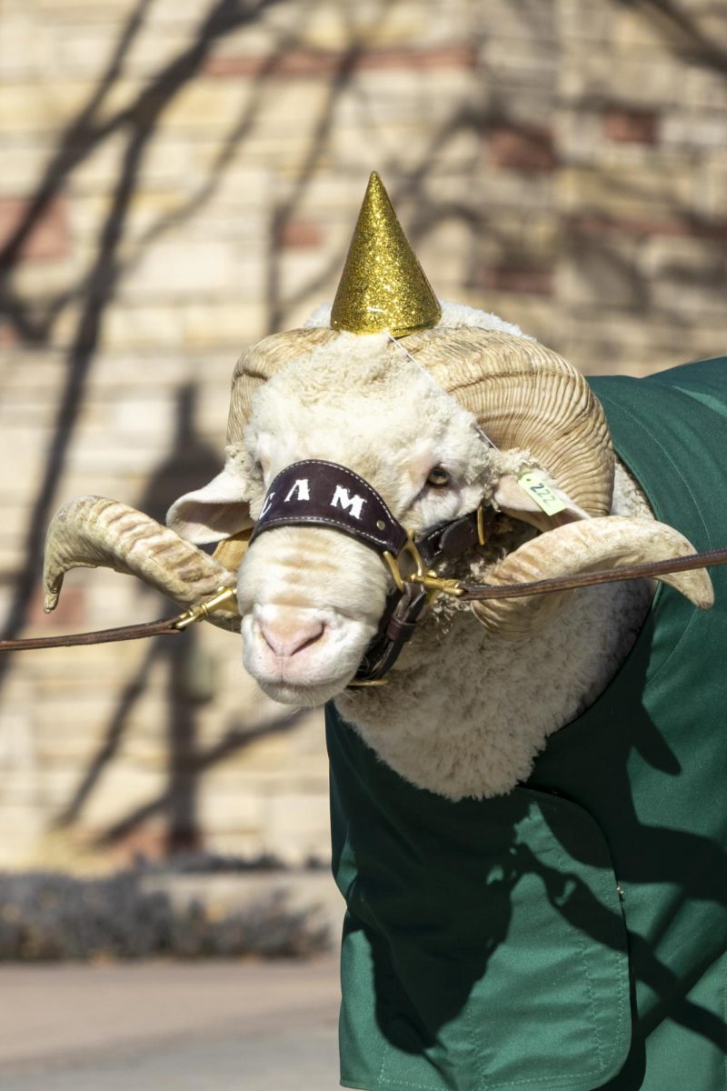 CAM the Ram celebrates his 72nd birthday at the Colorado State University Student Recreation Center. The event was organized by the CSU Alumni Association, Feb. 7.