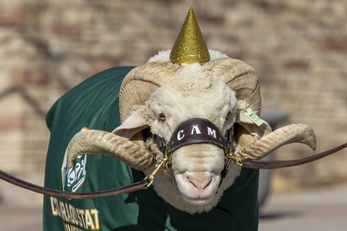 CAM the Ram celebrates his 72nd birthday at the Colorado State University Student Recreation Center. The event was organized by the CSU Alumni Association Feb. 7.