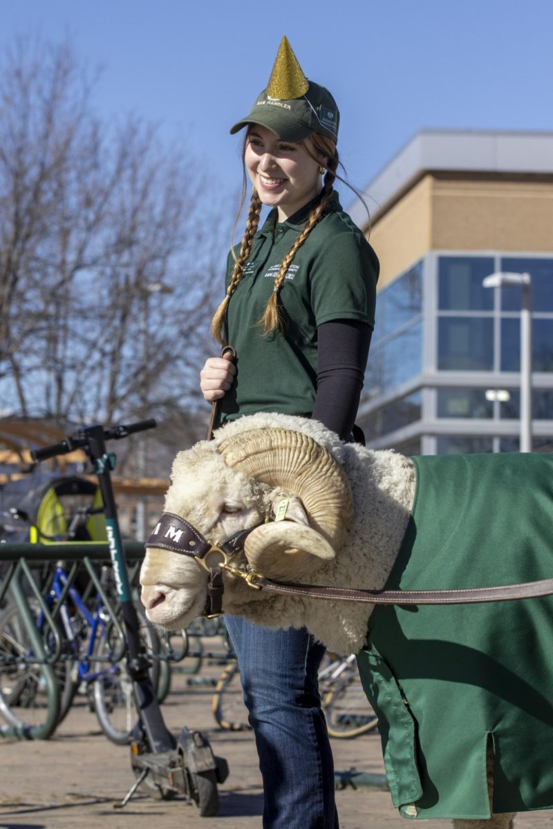 CAM the Ram and fellow handlers celebrate his 72nd birthday at the Colorado State University Student Recreation Center. The event was organized by the CSU Alumni Association, Feb. 7.