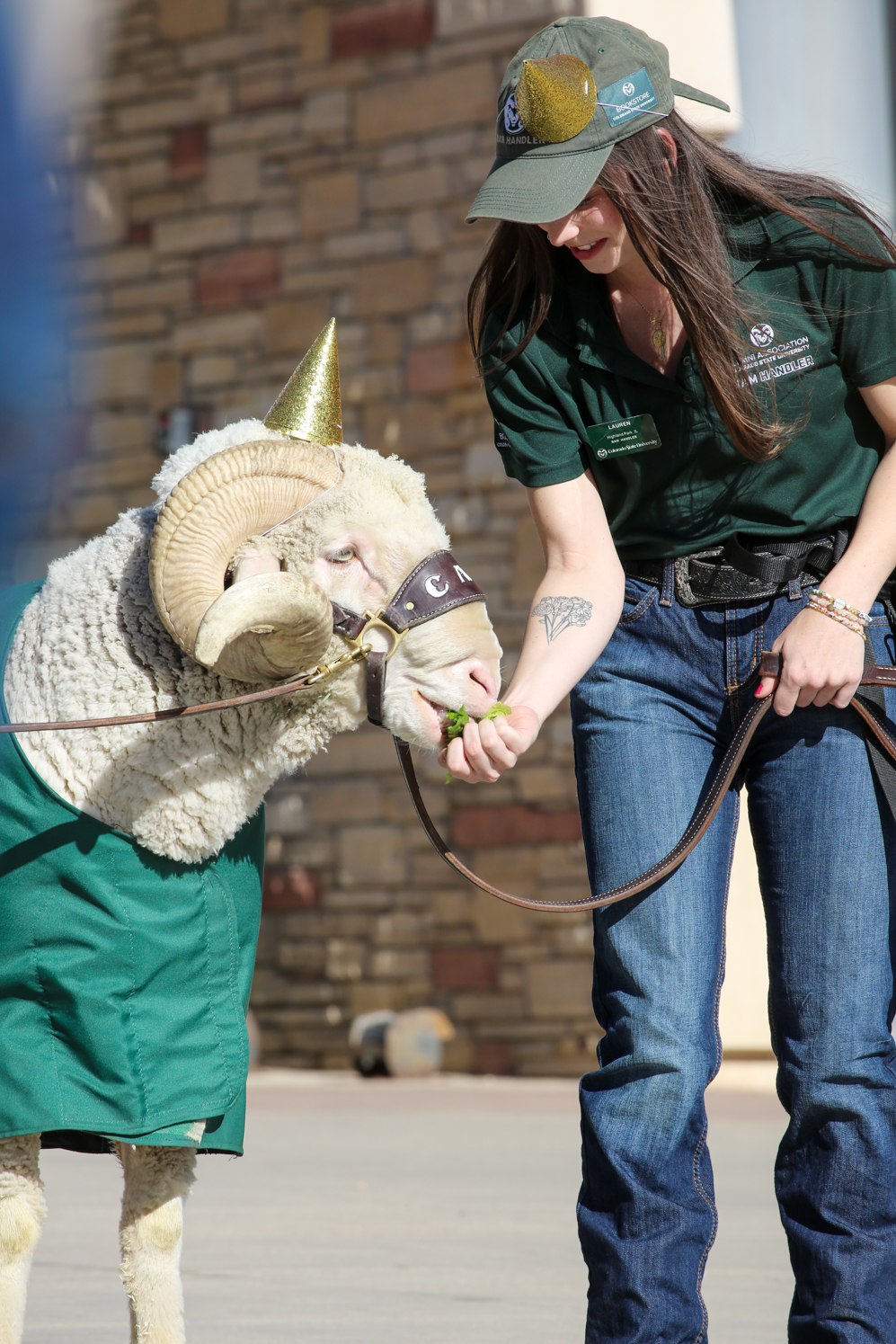 Gallery: CAM the Ram celebrates birthday