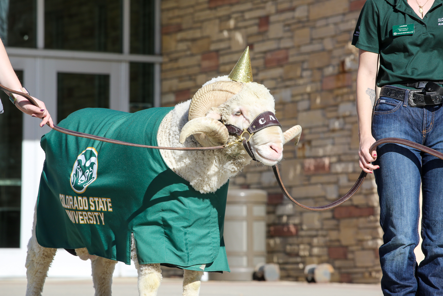 Gallery: CAM the Ram celebrates birthday