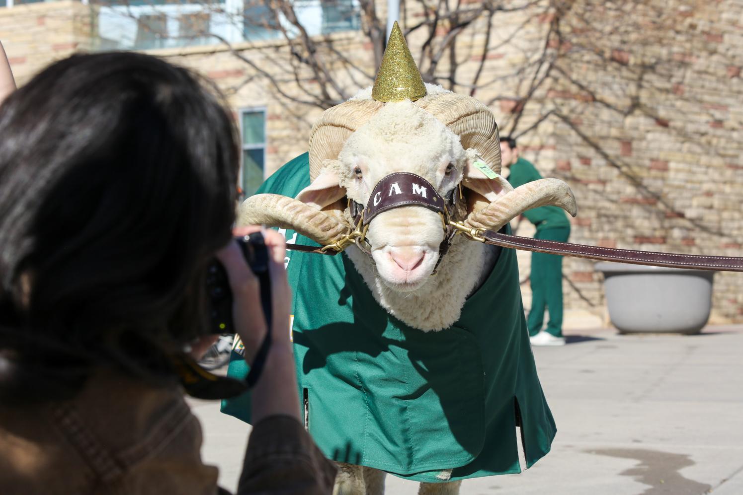 Gallery: CAM the Ram celebrates birthday