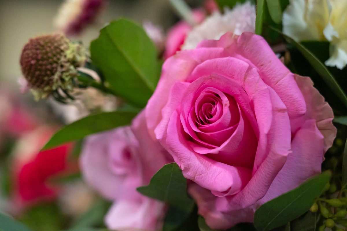  The finished bouquet of Christine Turner, whose favorite part of the Galentines event at Breckenridge Brewery Feb. 13, can be summed up in one color. “I love pink,” Turner says, “My favorite part of the event is all the pink.” 

