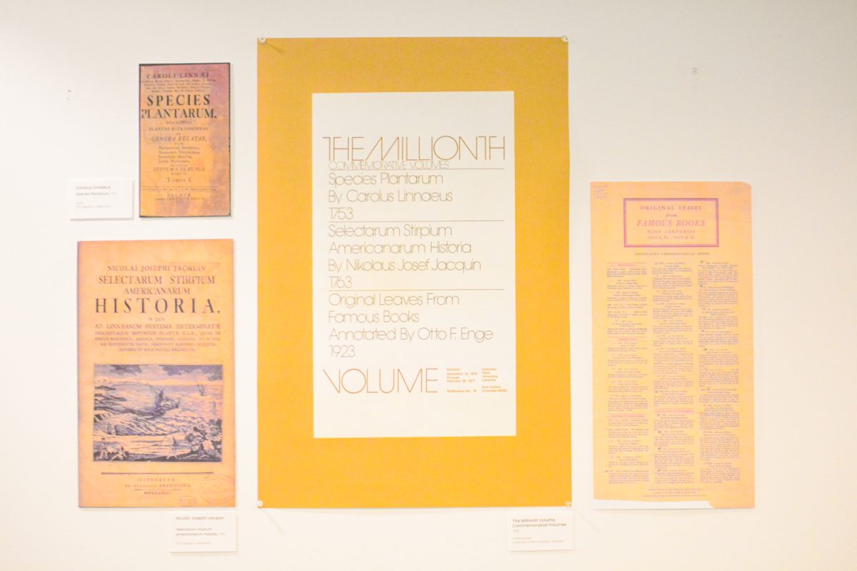 02_16_25_OntheWalls_KOrtega_001