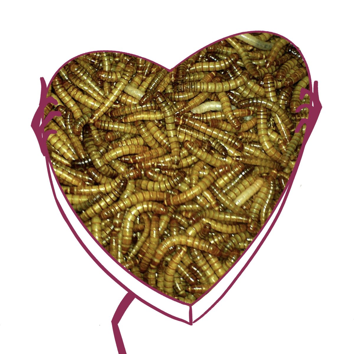 Bird_Love_Comic_Panel_2 1