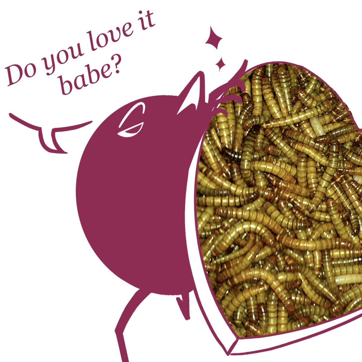 Bird_Love_Comic_Panel_3