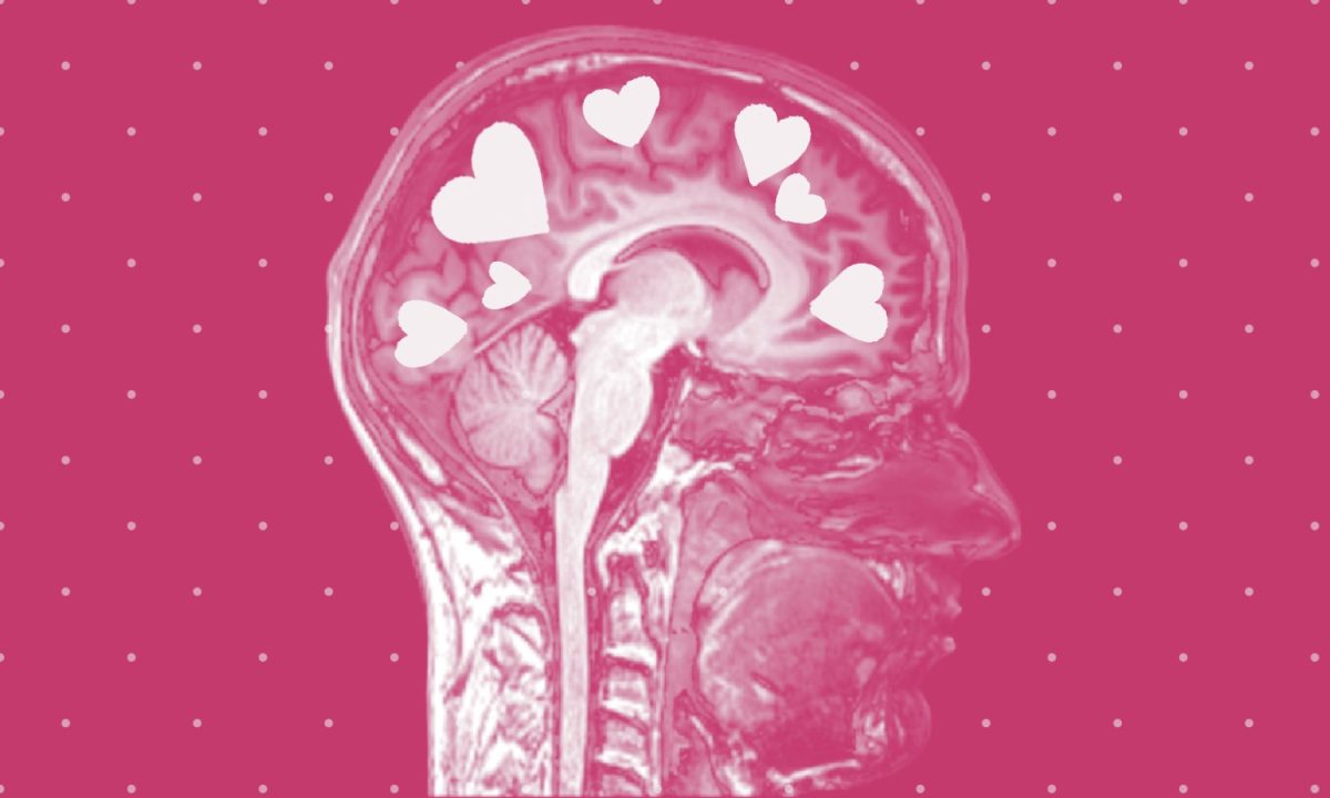 Psychology_Of_Attraction_ADAMS