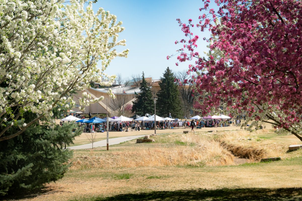 Colorful trees frame the CSU on Campus Vintage Market outside the Lory Student Center March 26.